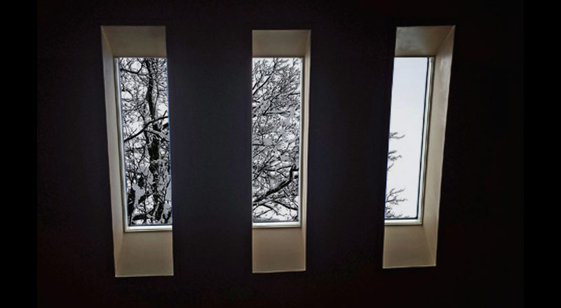Skylights with view of tree covered in snow